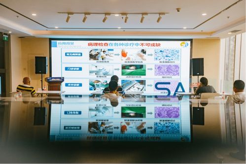 数字经济产业赋能 场景汇路演聚焦人工智能双创服务与智慧教育新机遇